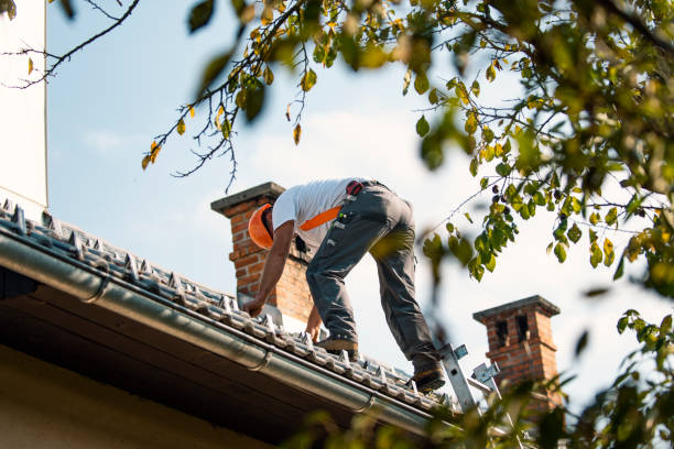 Best Shingle Roofing Installation  in Waverly, MI