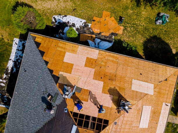 Best Flat Roof Repair Services  in Waverly, MI