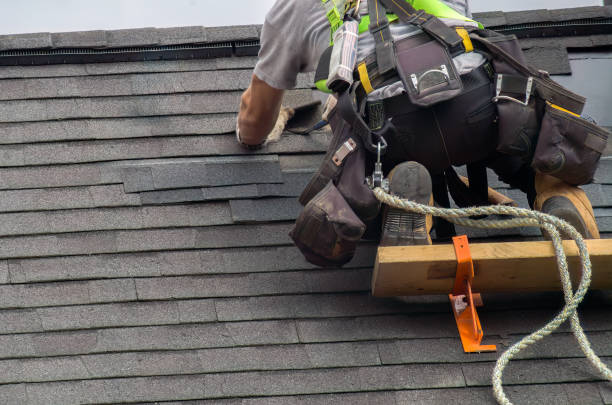 Best Roof Restoration Services  in Waverly, MI