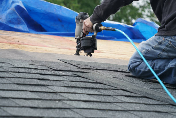 Best Roof Maintenance Services  in Waverly, MI