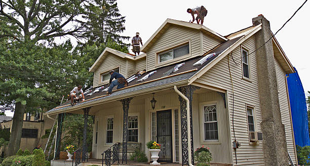 Best Flat Roof Repair Services  in Waverly, MI