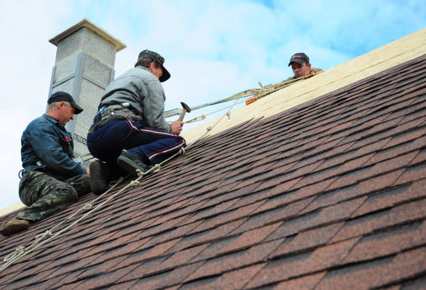 Best Tile Roofing Contractor  in Waverly, MI