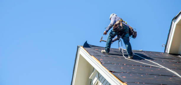 Best Flat Roof Repair Services  in Waverly, MI